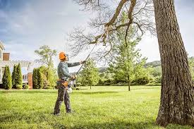 Best Storm Damage Tree Cleanup  in Weatherly, PA