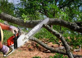 Best Tree Mulching Services  in Weatherly, PA